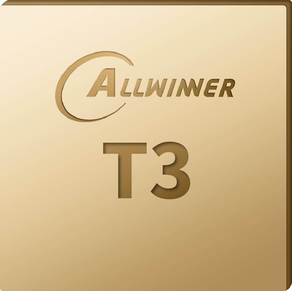 T3